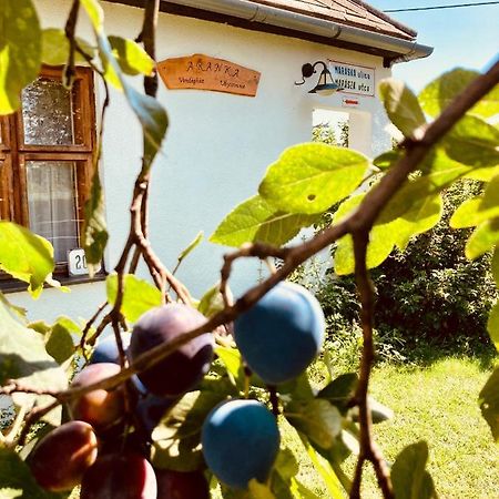 Ubytovanie U Aranky Cierna nad Tisou Buitenkant foto