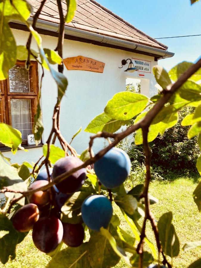 Ubytovanie U Aranky Cierna nad Tisou Buitenkant foto