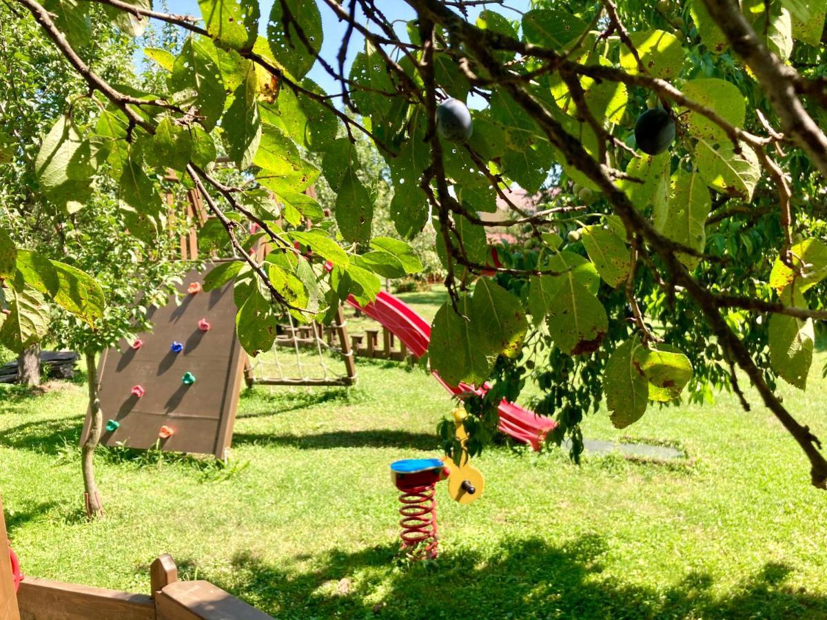 Ubytovanie U Aranky Cierna nad Tisou Buitenkant foto